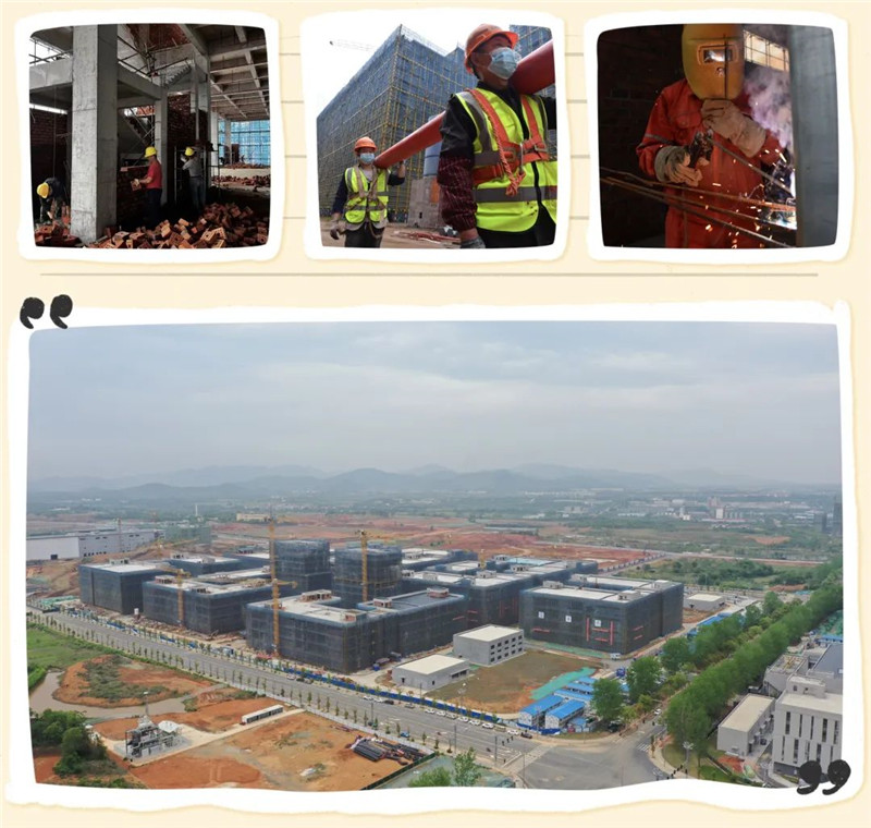 1655948975256649.jpg 1.jpg