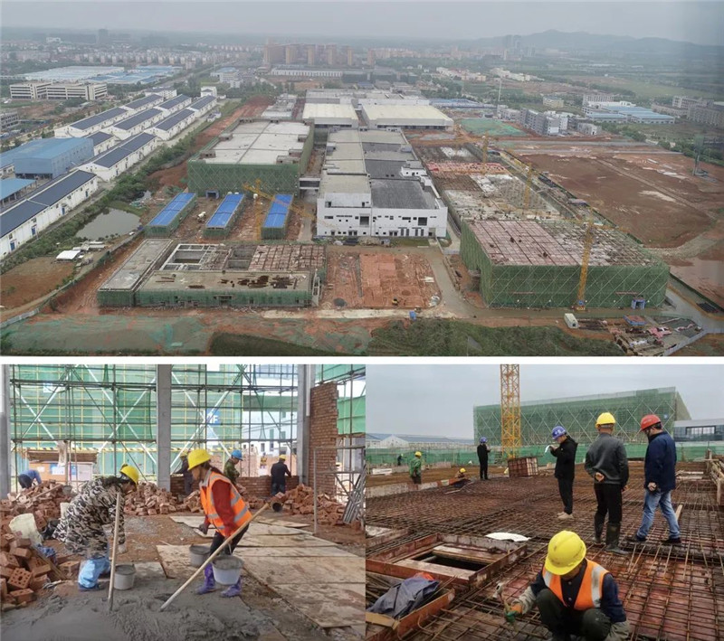 1655948987468733.jpg 2.jpg