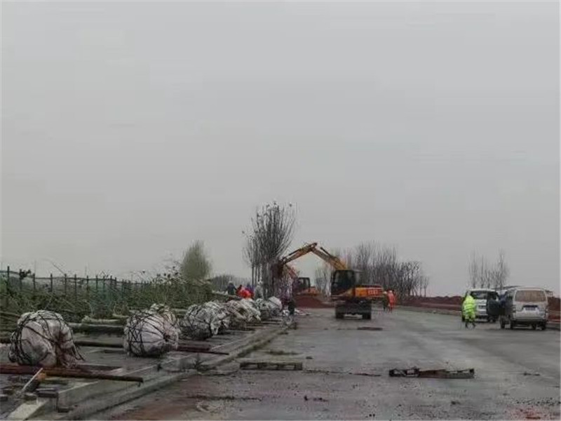 1655949695670695.jpg 2.jpg