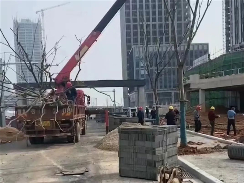 1655949835385009.jpg 6.jpg