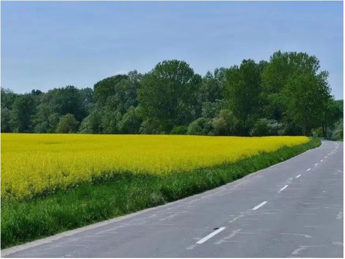 1656039954557992.jpg 4.jpg