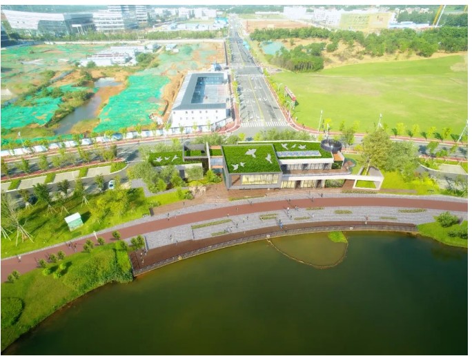 1656040713965771.jpg 650074678.jpg