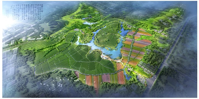 1656056396254036.jpg 1656056396254036.jpg