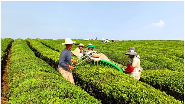 1656056435768720.jpg 1390967950.jpg