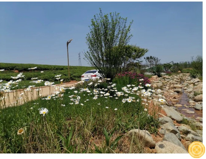 1656056904393736.jpg 1656056600330257.jpg