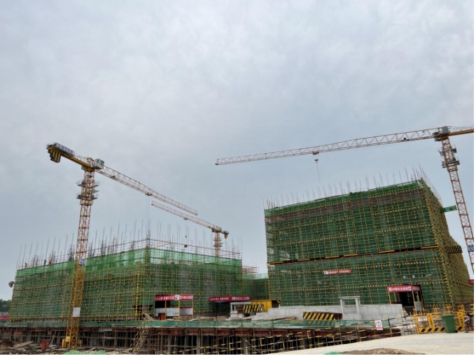 1656057150967845.jpg 383886607.jpg