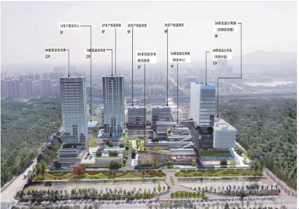 1656057191709009.jpg 1656057191709009.jpg