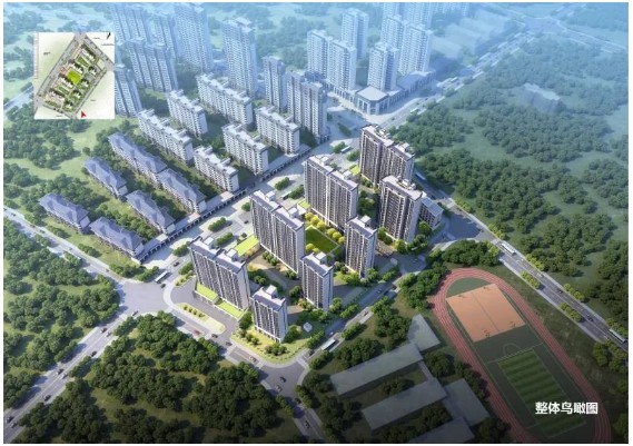 1656057683906974.jpg 967657592.jpg