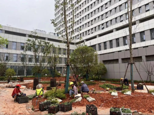 1656297566938320.png image.png