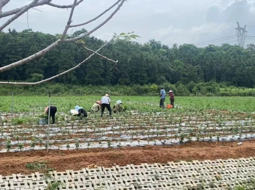 1656297632431626.png image.png