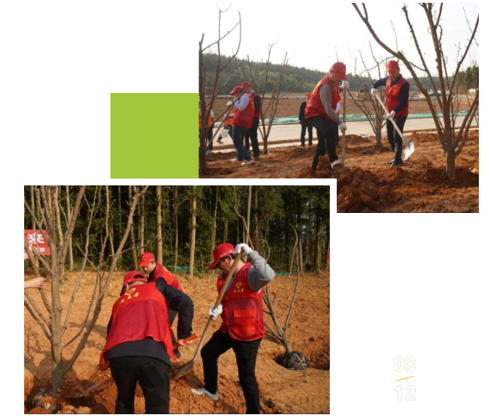 1656903248476946.png image.png