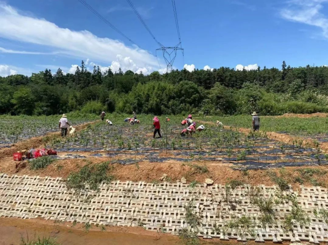 1658216200916848.png image.png