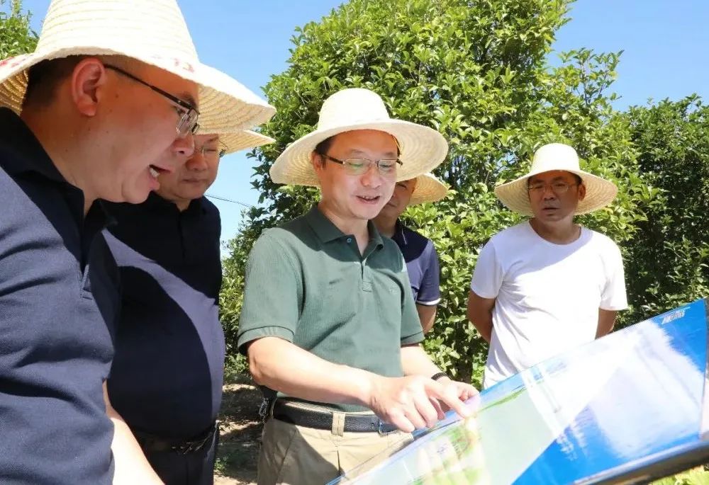 1660551501798688.jpg 1660551501798688.jpg