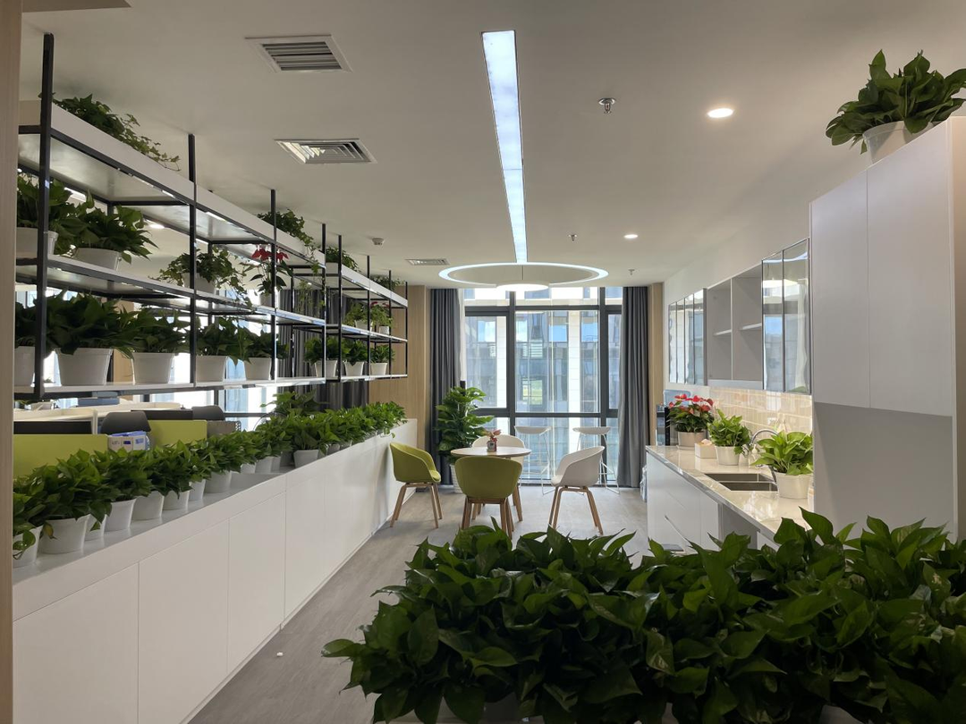 1660895410290763.png 1660895410290763.png