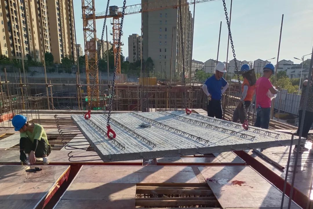 1661390000236947.jpg 1661390000236947.jpg