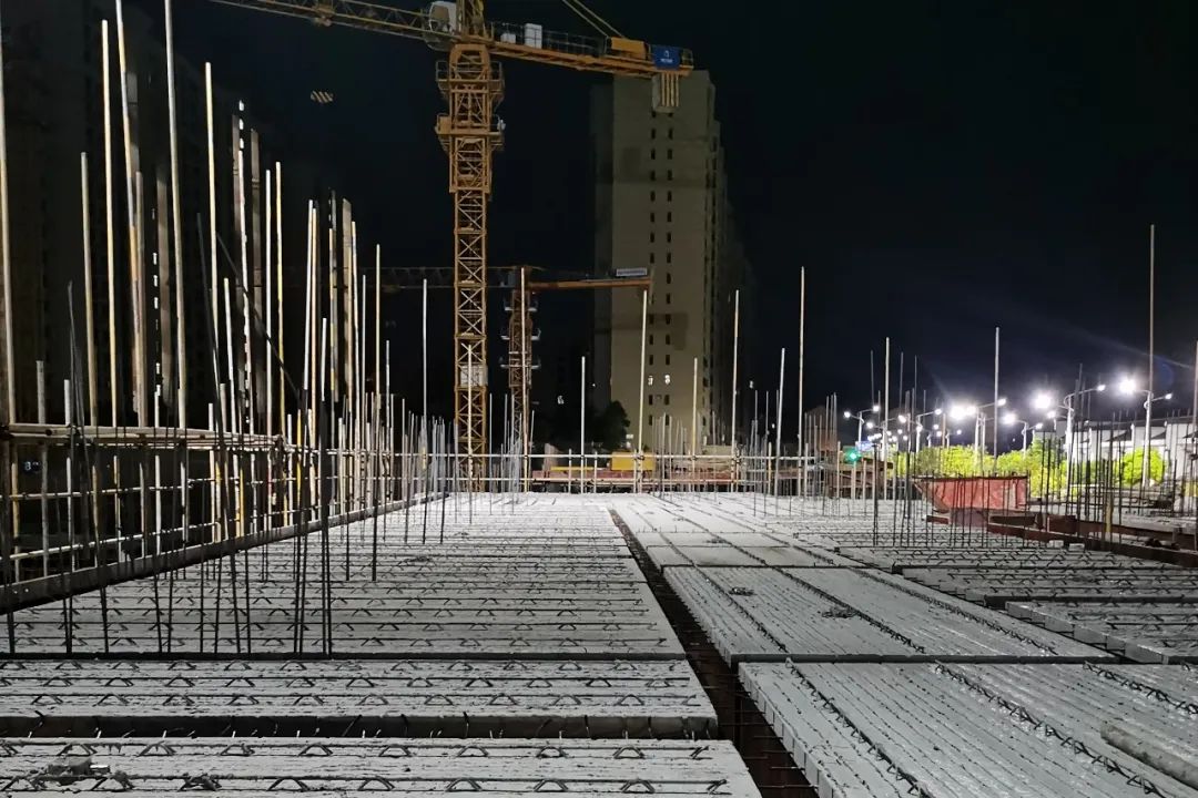 1661390031695689.jpg 1661390031695689.jpg