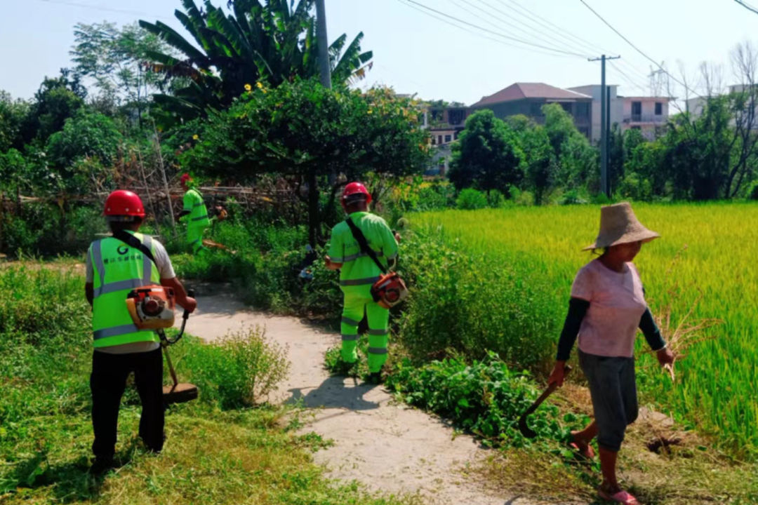 1661390348163060.jpg 1661390348163060.jpg