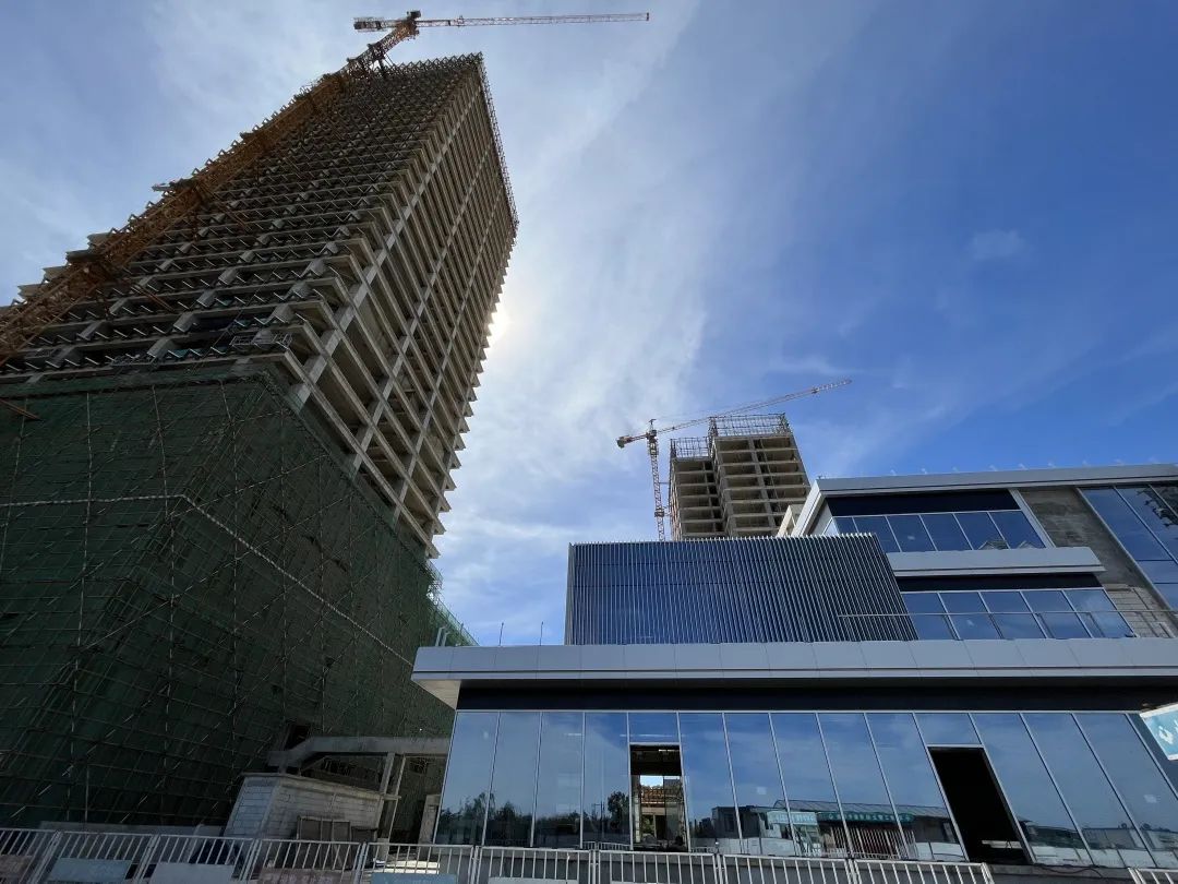 1662019334712473.jpg 1662019334712473.jpg