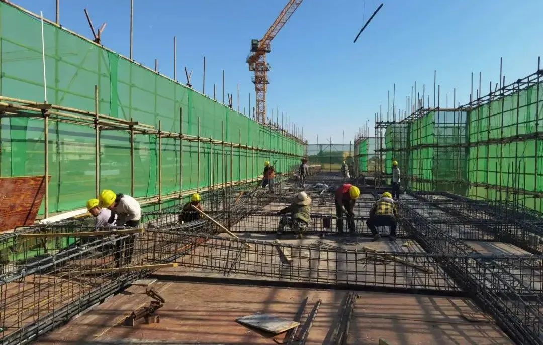 1665278469102835.jpg 1665278469102835.jpg