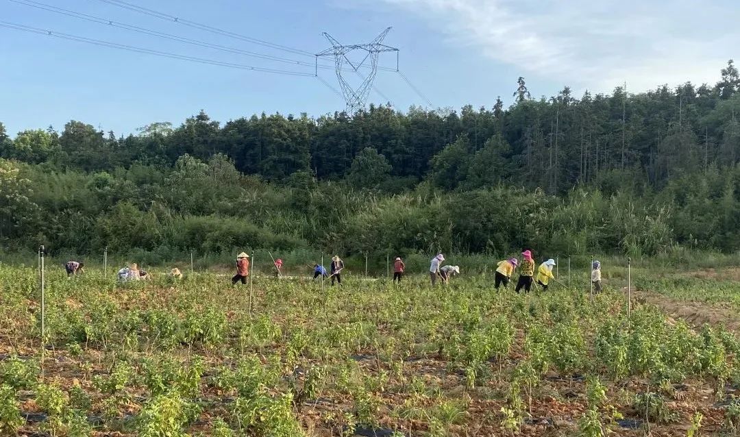 1665278552829499.jpg 1665278552829499.jpg