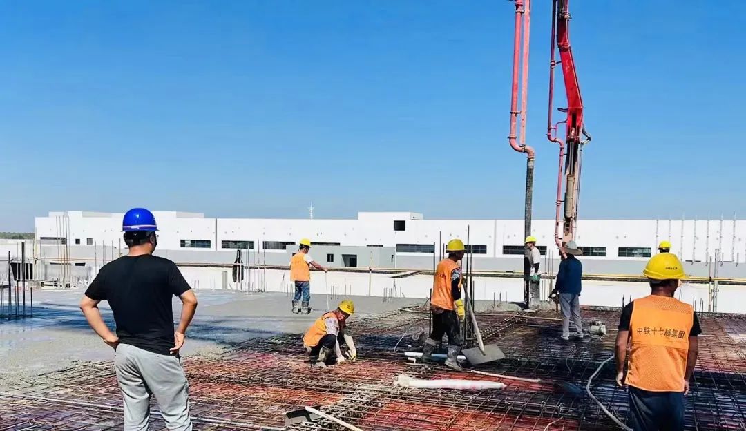 1665278735294512.jpg 1665278735294512.jpg