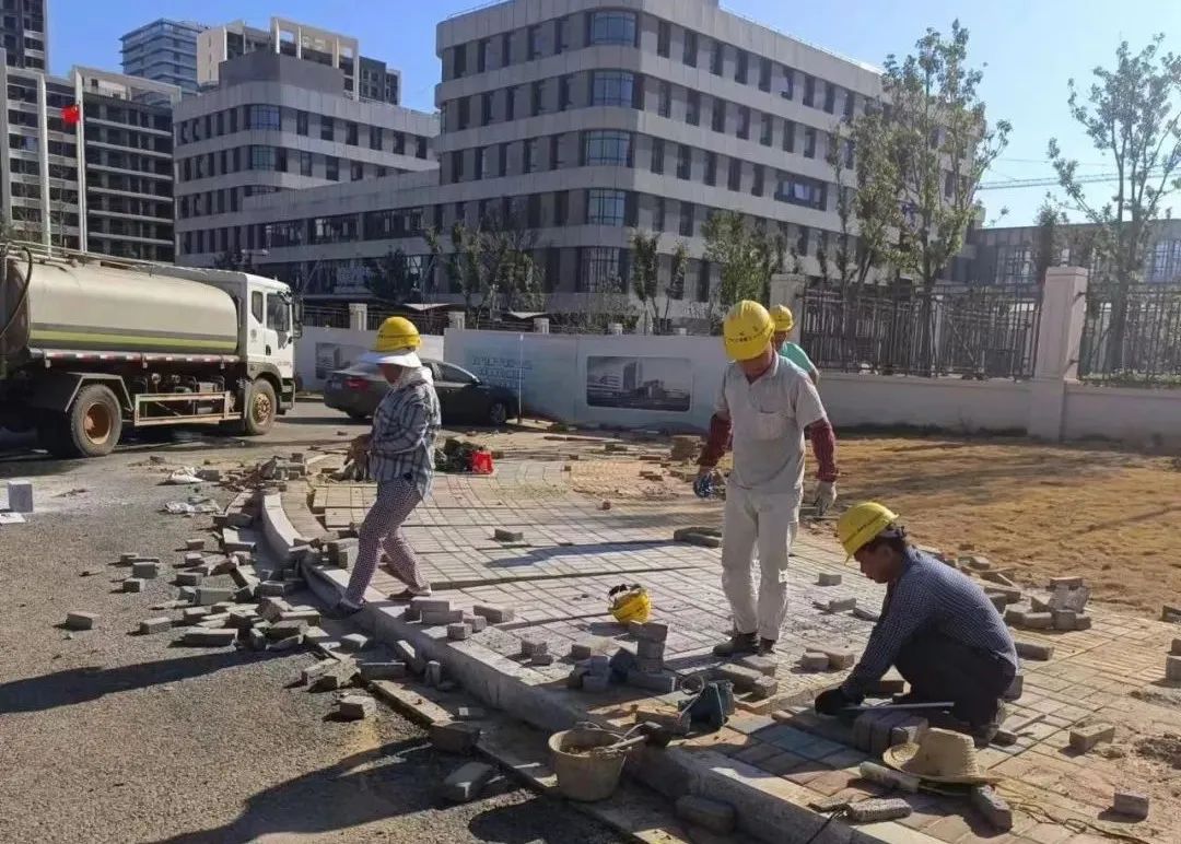 1665278945169686.jpg 1665278945169686.jpg