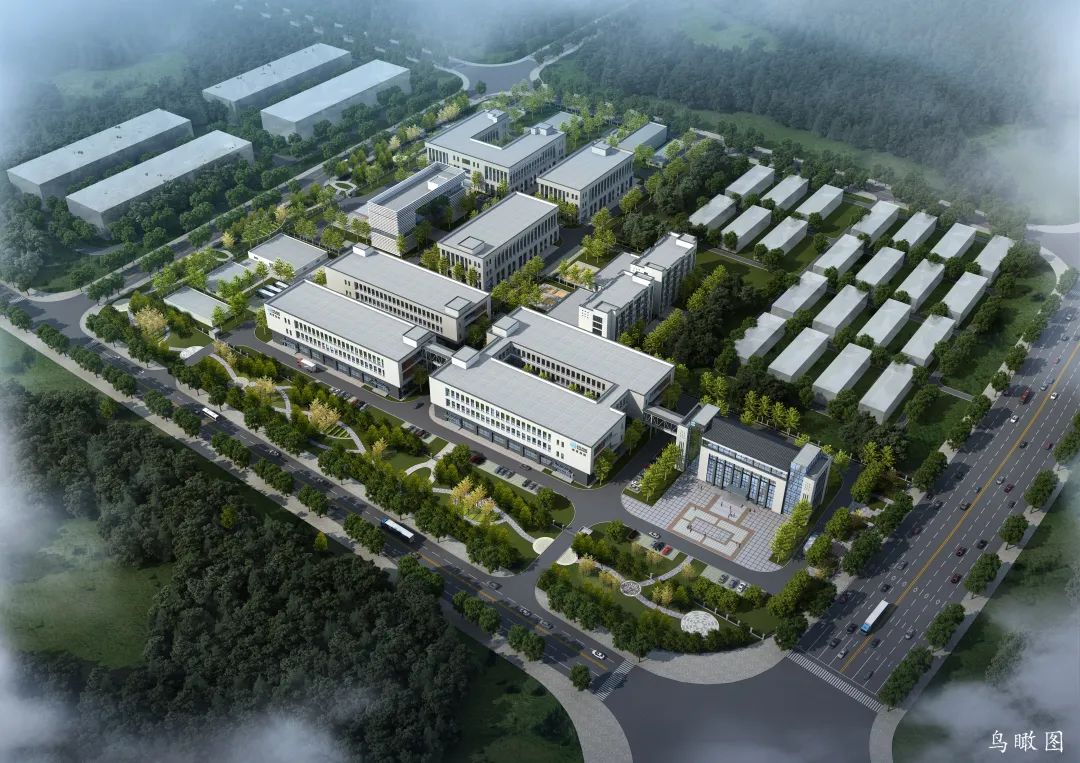 1667353965385646.jpg 1667353965385646.jpg