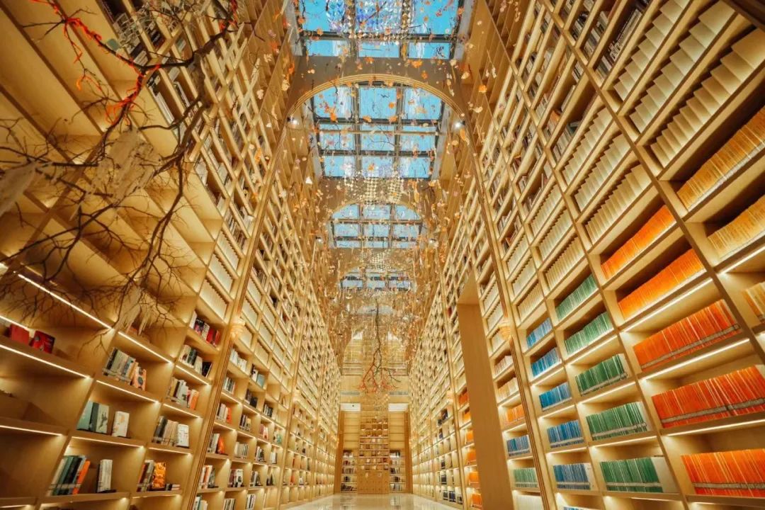 1672194216773768.jpg 1672194216773768.jpg