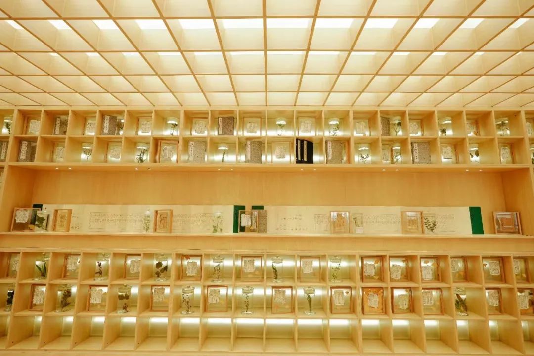 1672194225843214.jpg 1672194225843214.jpg