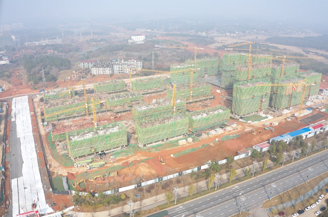 1672968221676205.png 1672968221676205.png