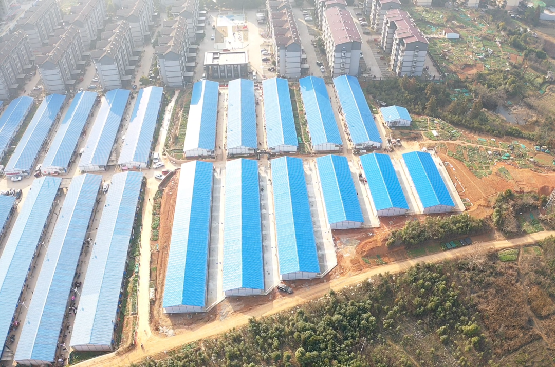 1673579533445619.png 1673579533445619.png