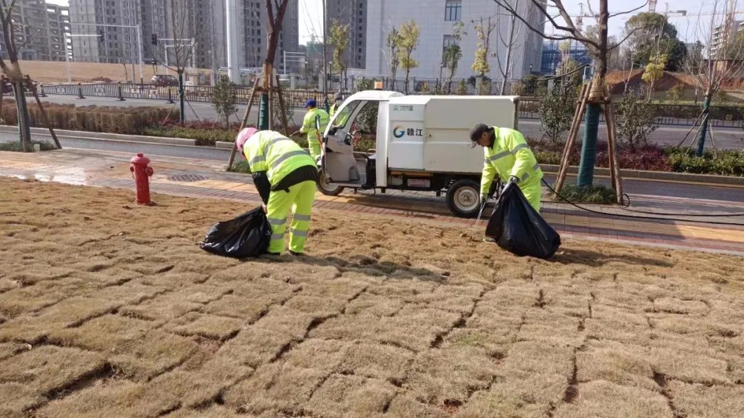 1674954983336685.jpg 1674954983336685.jpg