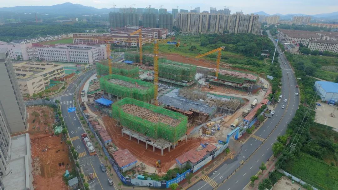 1691045873499473.jpg 1691045873499473.jpg