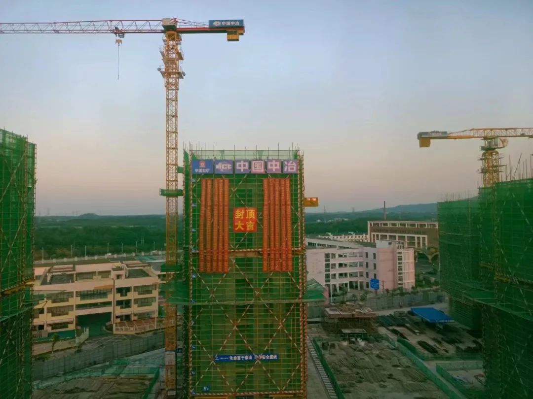 1698112607534458.jpg 1698112607534458.jpg