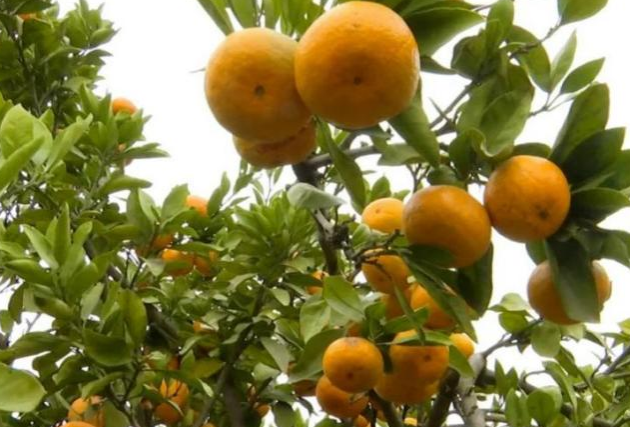 1701224267309325.png 微信图片_20231129101618.png