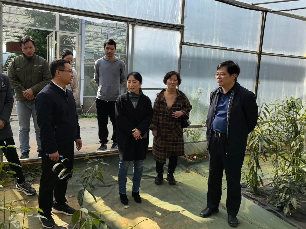 1701758230405379.png 1701758230405379.png