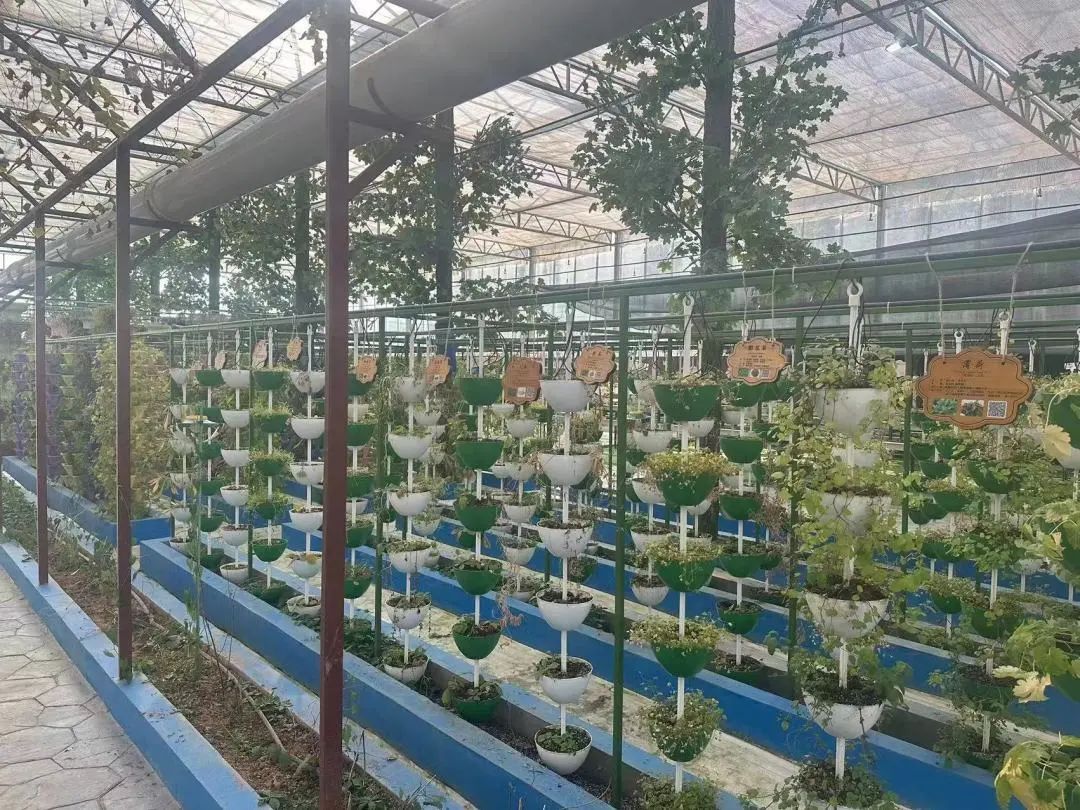 1704179909806175.jpg 1704179909806175.jpg