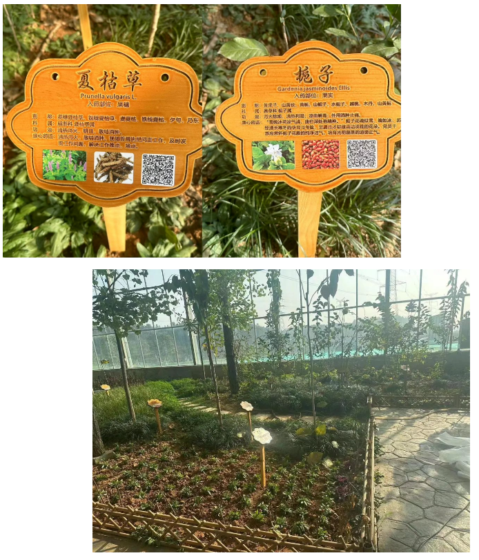 1704179920831633.png 1704179920831633.png