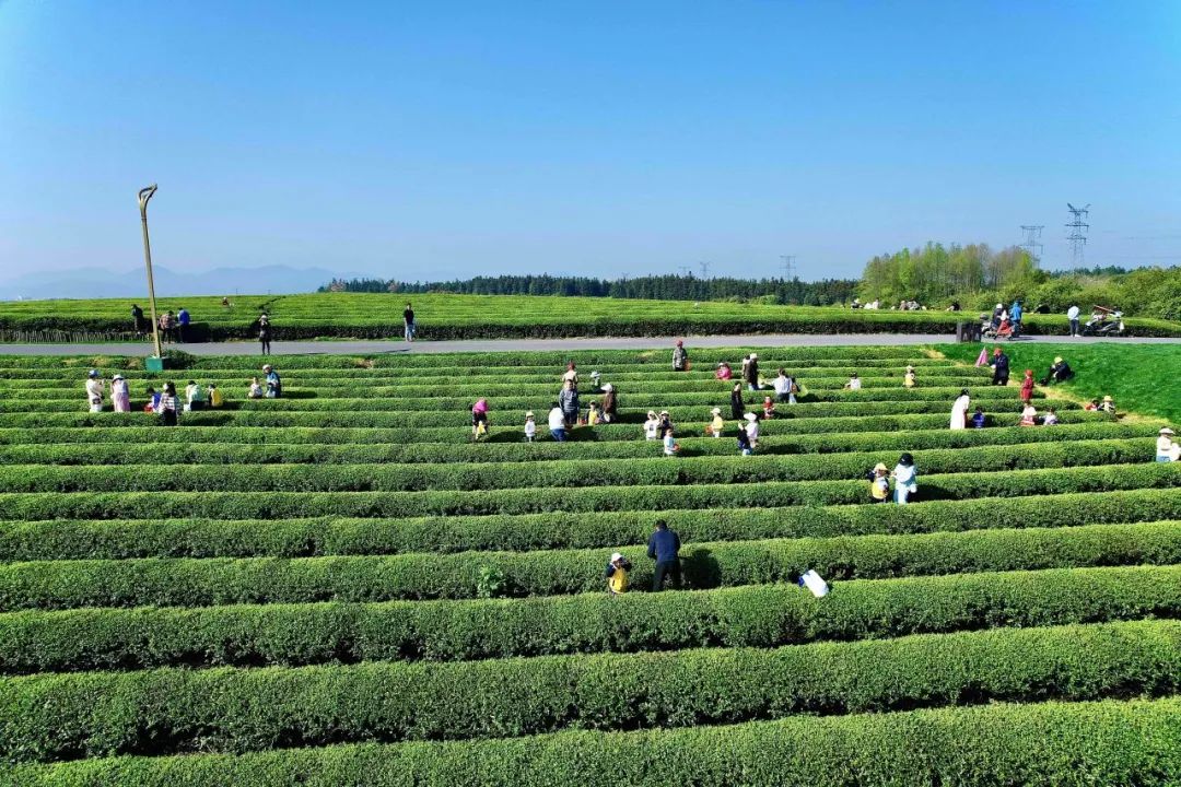 1711940736962605.jpg 1711940736962605.jpg