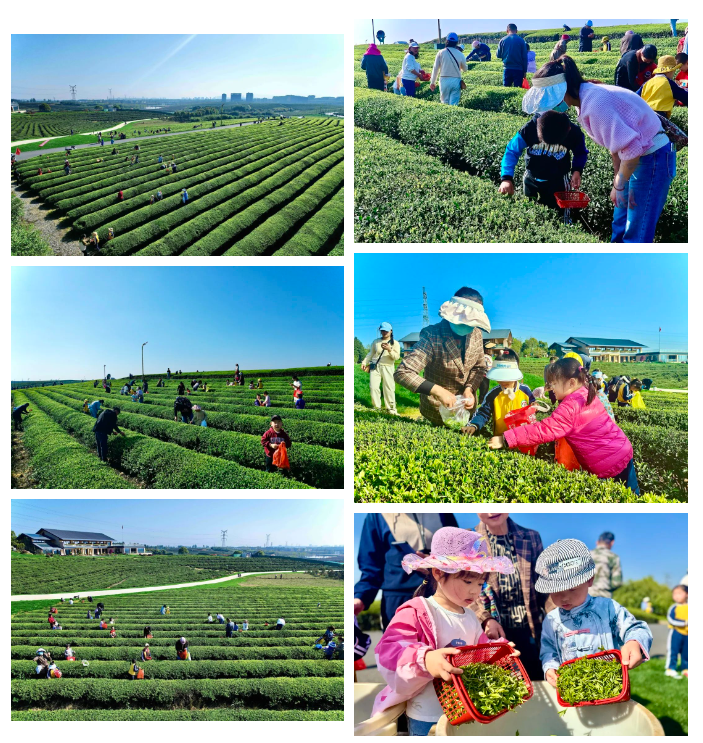 1711940744341051.png 1711940744341051.png