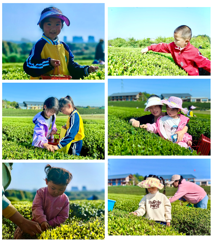 1711940754718169.png 1711940754718169.png