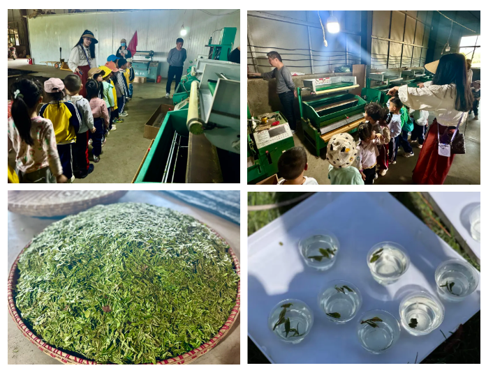 1711940765996179.png 1711940765996179.png