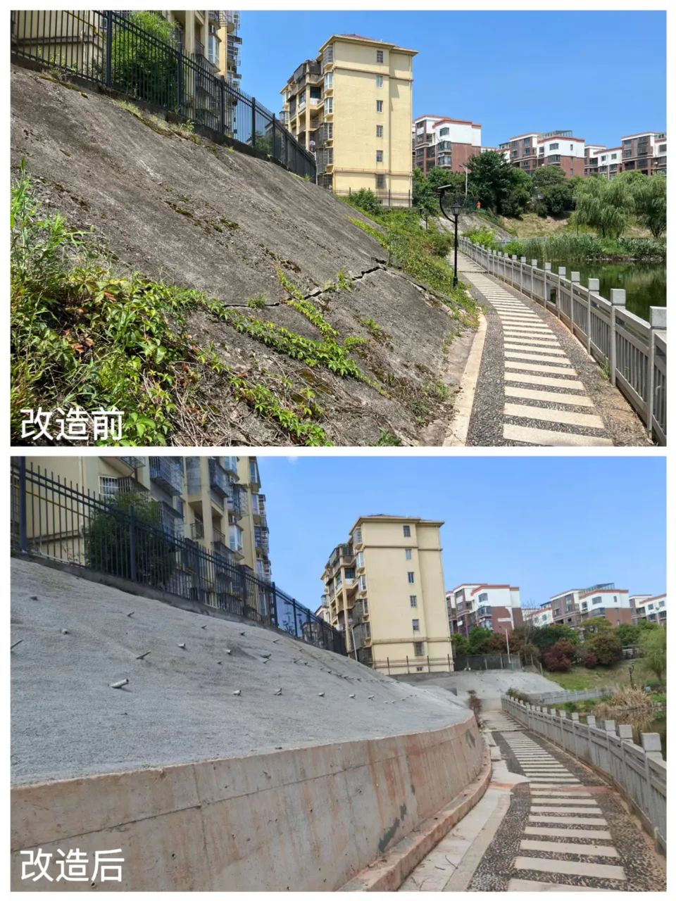 1712461925122716.jpg 1712461925122716.jpg