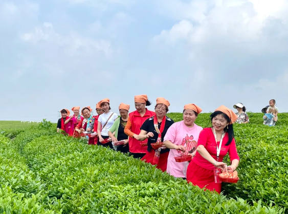 1714362143276184.png 1714362143276184.png