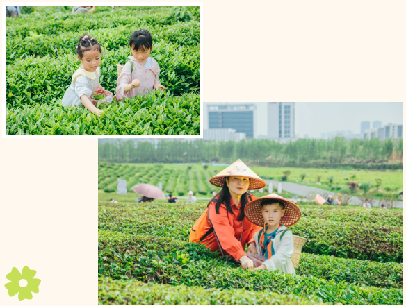 1714362151381933.png 1714362151381933.png