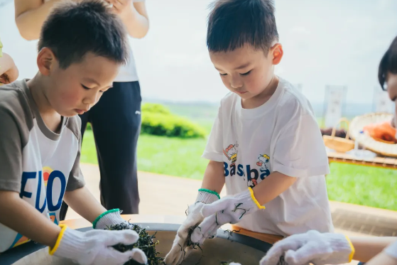 1714362234690652.png 1714362234690652.png