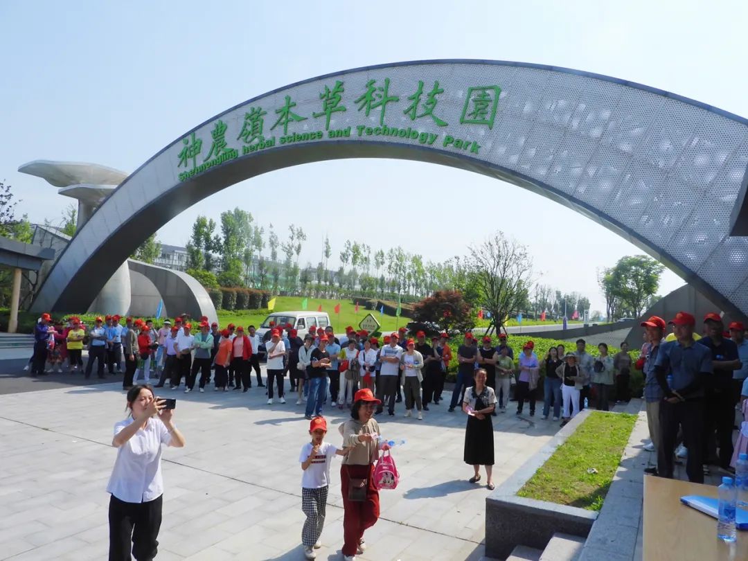 1716446597573250.jpg 1716446597573250.jpg