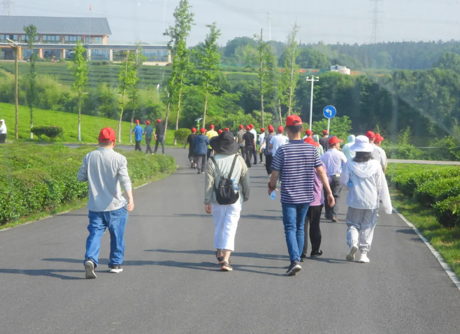 1716446662514715.png 1716446662514715.png