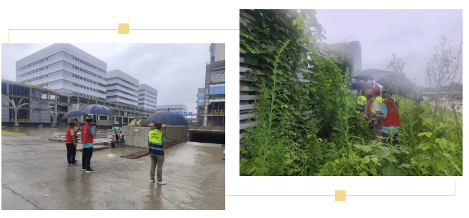 1719556154985079.png 1719556154985079.png