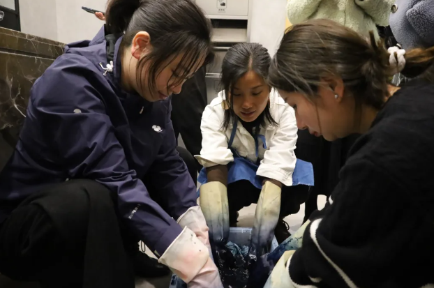 1720496546179305.png 1720496546179305.png